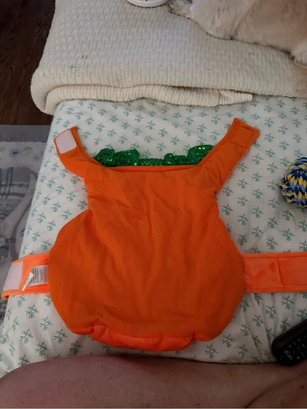 Pet Orange Pumpkin Costume with Green Leaf Collar-Costume size Large -NWOT